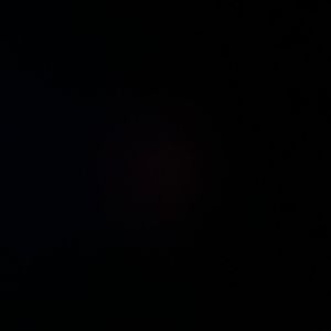 Meet your Posher, Gigi’s